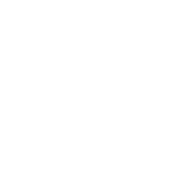 aaa