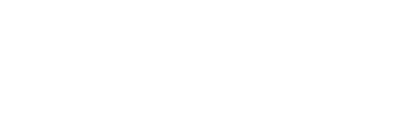 light logo